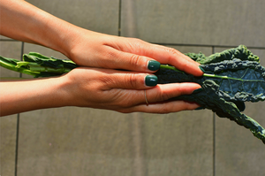 alkemist pills kale green hands natural colours beautiful sustainable pillbox supplements